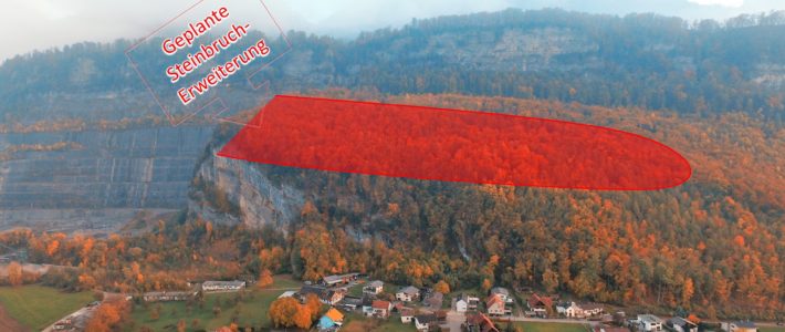 Zeitungsartikel VN 17.02.2020