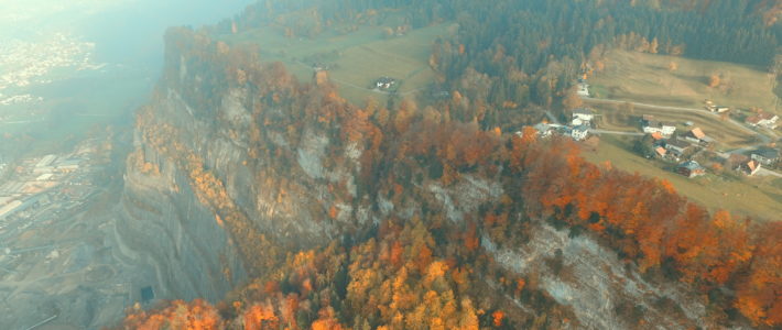 Zeitungsartikel VN 19.02.2020