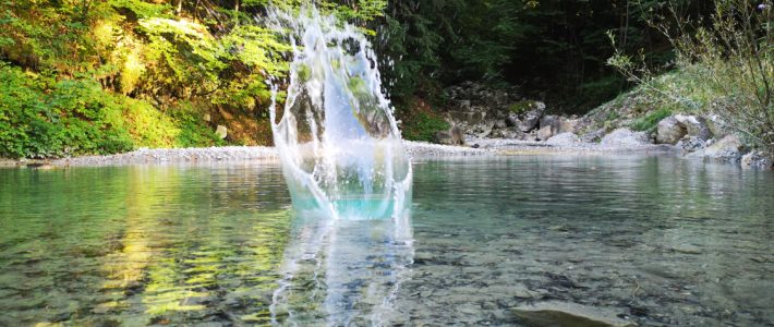 Zeitungsartikel VN 01.02.2020