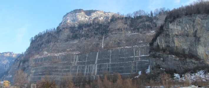 Zeitungsartikel VN 18.02.2020