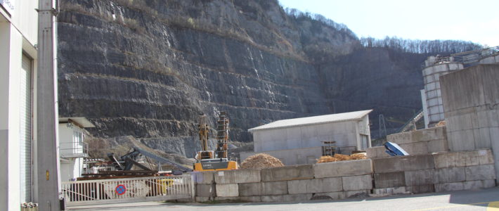 Zeitungsartikel VN 14.02.2020